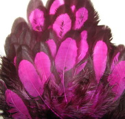 ������� ���� Hen feathers BLW ������� �������